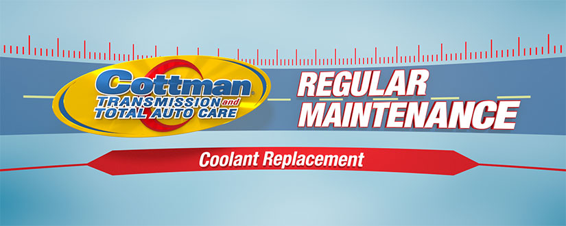 automobile coolant changing and replacement