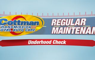 car underhood check up - car inspection tips video